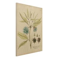 Bilderwelten Holzbild Blumen - Hochformat 3:4 Vintage Botanik in Blau Sternanis