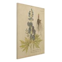 Bilderwelten Holzbild Blumen - Hochformat 3:4 Vintage Botanik in Blau Sturmhut