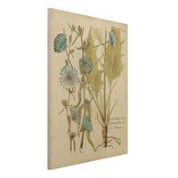 Bilderwelten Holzbild Blumen - Hochformat 3:4 Vintage Botanik in Blau Wegwarte