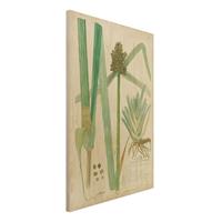 Bilderwelten Holzbild Blumen - Hochformat 2:3 Vintage Botanik Zeichnung GrÃser III