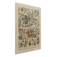 Bilderwelten Holzbild Blumen - Hochformat 3:4 Vintage Lehrtafel Blumen II