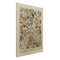 Bilderwelten Holzbild Blumen - Hochformat 3:4 Vintage Lehrtafel Blumen III