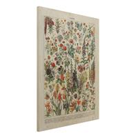 Bilderwelten Holzbild Blumen - Hochformat 3:4 Vintage Lehrtafel Blumen IV
