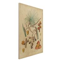 Bilderwelten Holzbild Blumen - Hochformat 2:3 Vintage Lehrtafel Exotische Palmen III