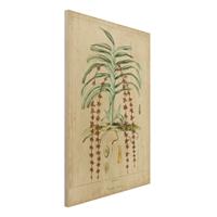 Bilderwelten Holzbild Blumen - Hochformat 2:3 Vintage Lehrtafel Exotische Palmen IV