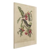 Bilderwelten Holzbild Blumen - Hochformat 3:4 Vintage Lehrtafel FliegenschnÃpper II