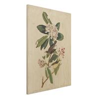 Bilderwelten Holzbild Blumen - Hochformat 3:4 Vintage Lehrtafel GrasmÃ¼cke
