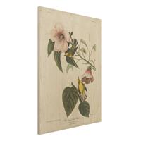 Bilderwelten Holzbild Blumen - Hochformat 3:4 Vintage Lehrtafel GrasmÃ¼cke II
