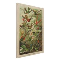 Bilderwelten Holzbild Tiere - Hochformat 3:4 Vintage Lehrtafel Kolibris