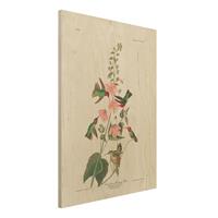 Bilderwelten Holzbild Blumen - Hochformat 3:4 Vintage Lehrtafel Kolumbianische Kolibris