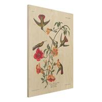Bilderwelten Holzbild Blumen - Hochformat 3:4 Vintage Lehrtafel Mango Kolibris
