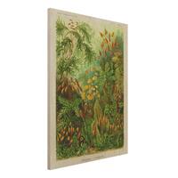Bilderwelten Holzbild Blumen - Hochformat 3:4 Vintage Lehrtafel Moos