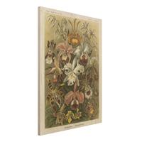 Bilderwelten Holzbild Blumen - Hochformat 3:4 Vintage Lehrtafel Orchidee