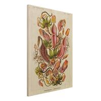 Bilderwelten Holzbild Blumen - Hochformat 3:4 Vintage Lehrtafel Pflanzenillustration Rot GrÃ¼n