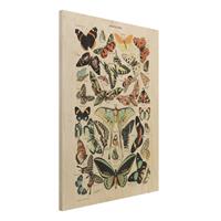 Bilderwelten Holzbild Tiere - Hochformat 3:4 Vintage Lehrtafel Schmetterlinge und Falter