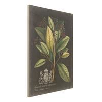 Bilderwelten Holzbild Blumen - Hochformat 3:4 Vintage Royales Blattwerk auf Schwarz IV