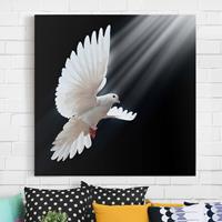 Bilderwelten Leinwandbild Tiere - Quadrat Holy Dove
