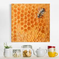 Bilderwelten Leinwandbild Tiere - Quadrat Honey Bee