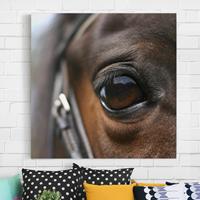Bilderwelten Leinwandbild Tiere - Quadrat Horse Eye No.3