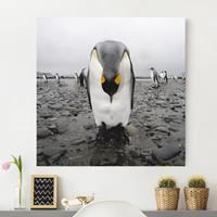 Bilderwelten Leinwandbild Tiere - Quadrat Pinguine