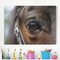 Bilderwelten Leinwandbild Pferd - Querformat Horse Eye