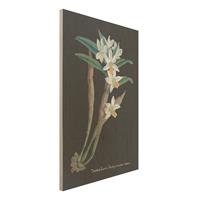 Bilderwelten Holzbild Blumen - Hochformat 2:3 WeiÃŸe Orchidee auf Leinen I