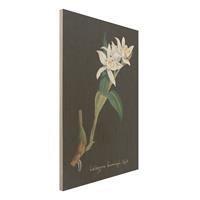 Bilderwelten Holzbild Blumen - Hochformat 2:3 WeiÃŸe Orchidee auf Leinen II
