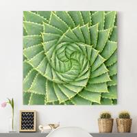 Bilderwelten Leinwandbild Botanik - Quadrat Spiral Aloe