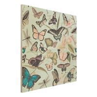 Bilderwelten Holzbild Vintage Collage - Schmetterlinge und Libellen