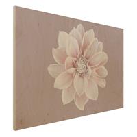 Bilderwelten Holzbild Dahlie Blume Lavendel WeiÃŸ Rosa