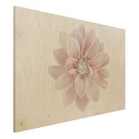 Bilderwelten Holzbild Dahlie Blume Pastell WeiÃŸ Rosa