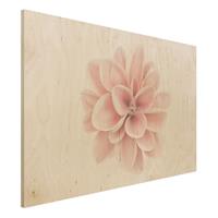Bilderwelten Holzbild Dahlie Rosa Pastell Blume Zentriert