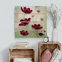 Bilderwelten Holzbild Plankenoptik Blumen - Quadrat Pinke Kosmeen
