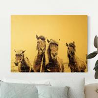 Bilderwelten Leinwandbild Gold Island Pferde