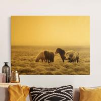 Bilderwelten Leinwandbild Gold Island Wildpferde