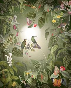 Komar Fototapete »Wildlife Birds«, glatt, Wald, floral, (Packung, 1 St), Größe: 200 x 250 cm (Breite x Höhe), Deutsches Qualitätsvlies (150 g/m)