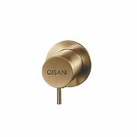 Qisani Flow thermostatische 1 -weg inbouwkraan met inbouwdeel Geborsteld PVD Gold (goud) 25612.06
