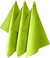 REDBEST Geschirrtuch  3er-Pack Baumwolle Seattle grün Gr. 50 x 70
