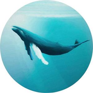 Komar Fotobehang Whale Watching 125 x 125 cm (set, 1 stuk)