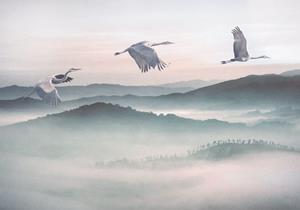 Komar Mystic Cranes Vlies Fotobehang 400x280cm 8-Banen