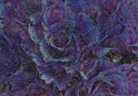 Consalnet Vliesbehang Violette bloemen