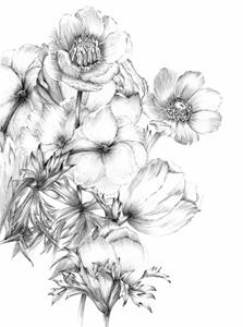 Komar Fototapete »Embroidery«, glatt, bedruckt, floral, botanisch