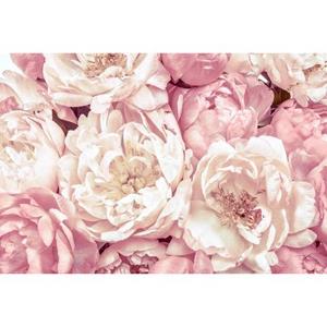 Komar Fotobehang Peonies 368 x 248 cm (set, 1 stuk)