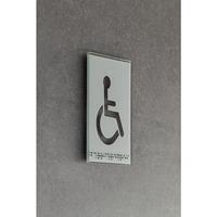 Türschild Piktogramm WC, Braille HxB 148 x 105 mm barrierefrei