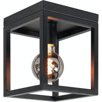 Highlight Fragola - Plafondlamp - E27 - 20 x 20 x 25cm - Zwart
