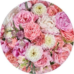 Komar Fototapete »Beautiful Blossoms«, glatt, Comic, botanisch, (Packung, 1 St), 125 x 125 cm