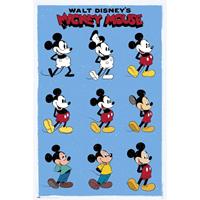Grupo Erik Disney Mickey Mouse Evol Poster 61x91,5cm