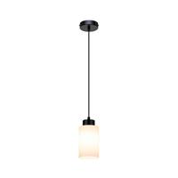 Euluna Hanglamp Vitrio, 1-lamp, zwart/wit