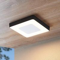 ELC Ranya LED-Sensor-Außendeckenleuchte dunkelgrau