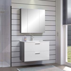 Hioshop Riva badkamer F met spiegelkast decor rookzilver, wit hoogglans.
